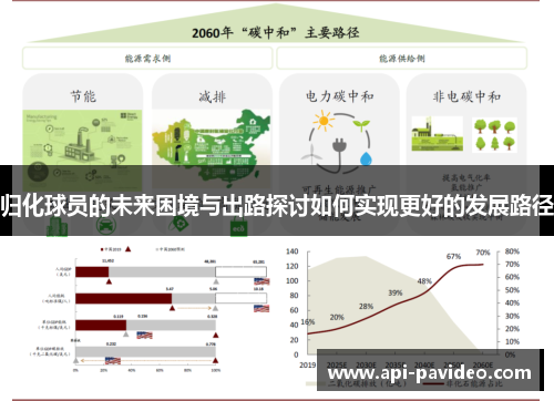 归化球员的未来困境与出路探讨如何实现更好的发展路径
