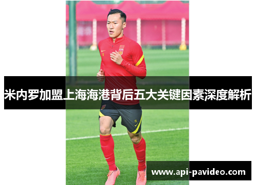 米内罗加盟上海海港背后五大关键因素深度解析