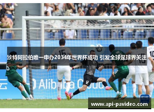 沙特阿拉伯唯一申办2034年世界杯成功 引发全球足球界关注