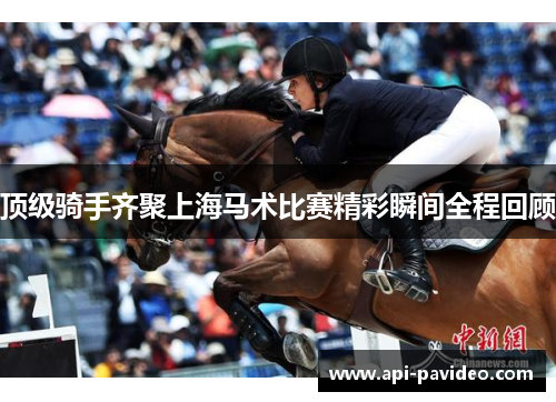 顶级骑手齐聚上海马术比赛精彩瞬间全程回顾
